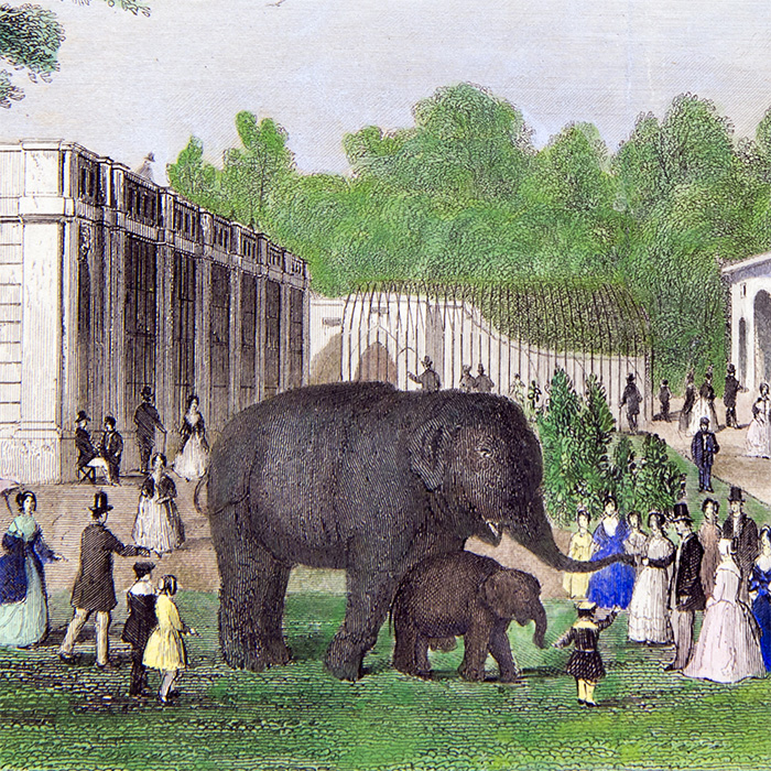Zoological Society London Archive
