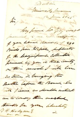 Open original Document numérique