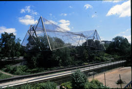 Snowdon Aviary (c) ZSL (16)